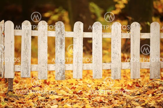Download the perfect white fence pictures. White Wooden Fence In Autum By Andrii Medvediuk Mostphotos