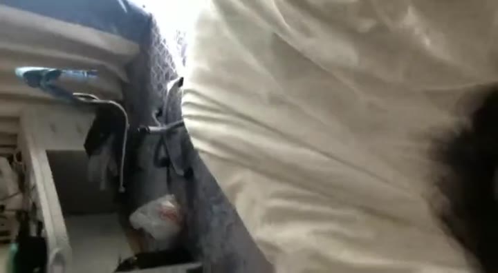 Video Viral Terbaru ENAK 1 PEMERSATUDOTFUN