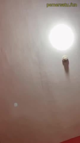 - -Jessika Intan Seperti Biasa Godain Pascol Tengah Malam