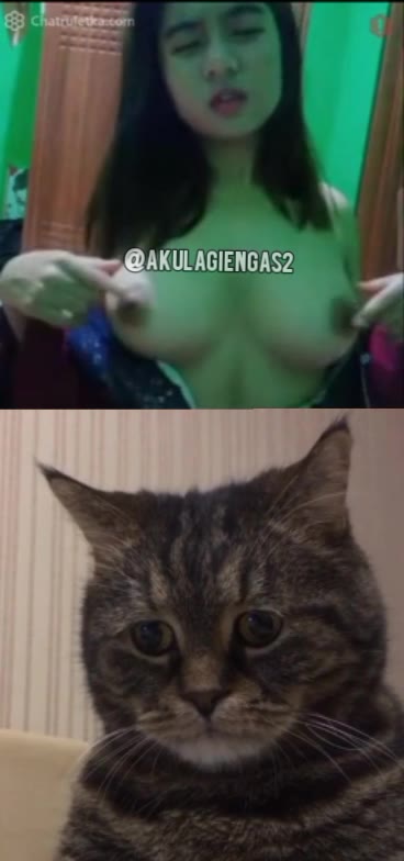 Hyper Ome TV TT Bulet