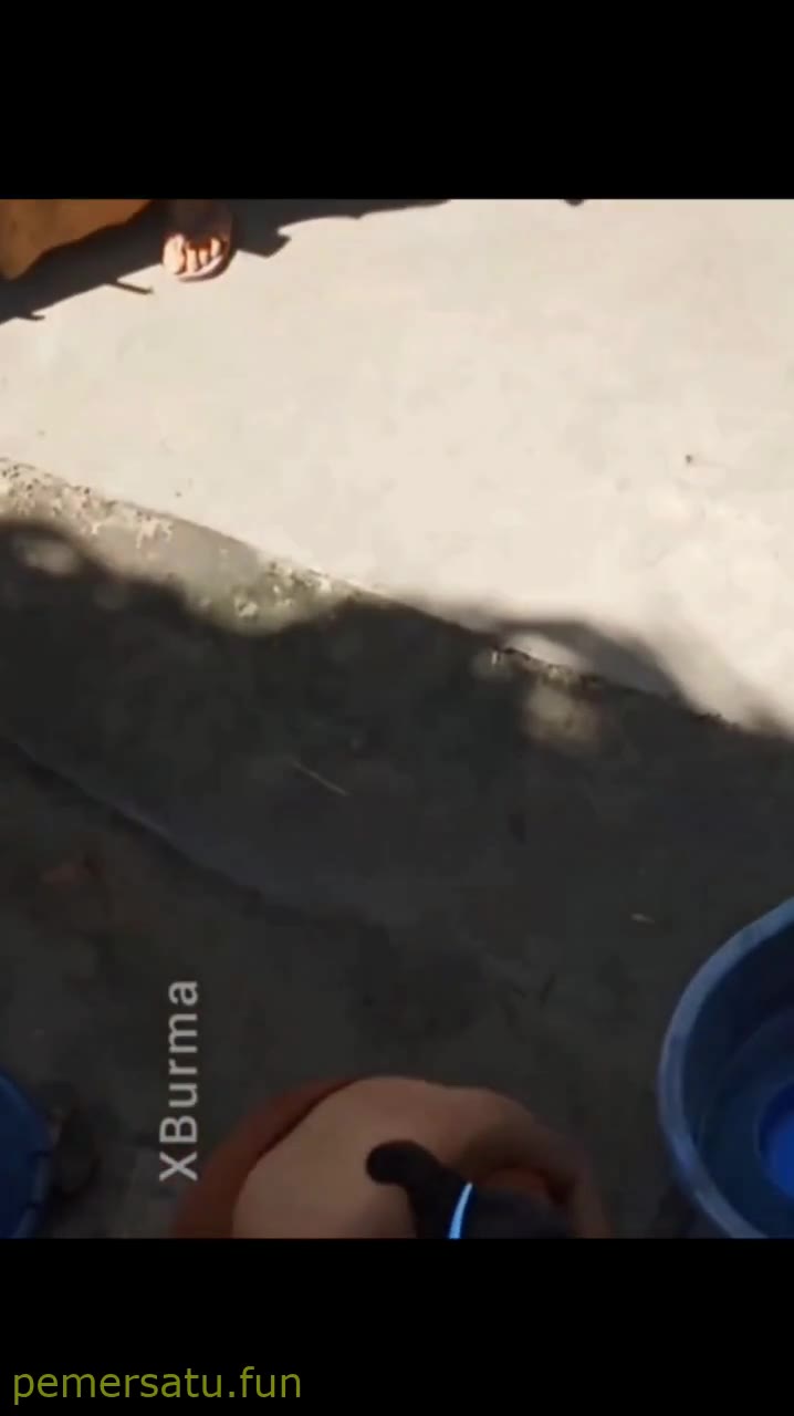 P8 Kamera Tersembunyi Intip Mandi