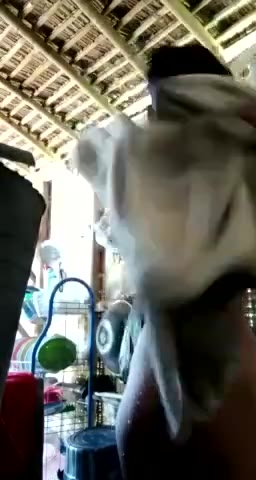 P4 Annisa Prastika Part