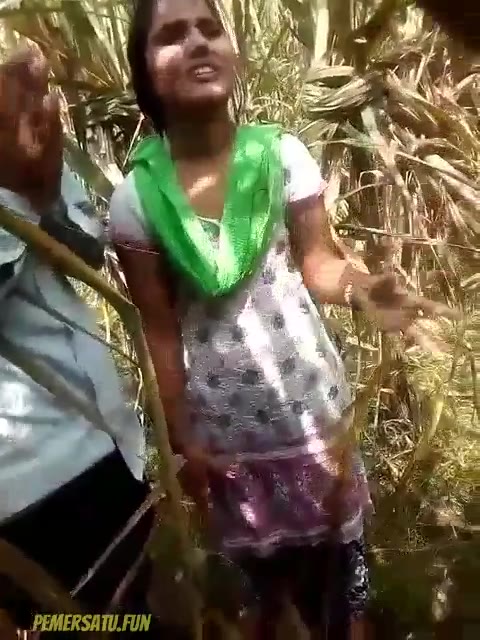 Rame Ketahuan Di Ladang Jagung Ceweknya Bakal Dipakai Rame