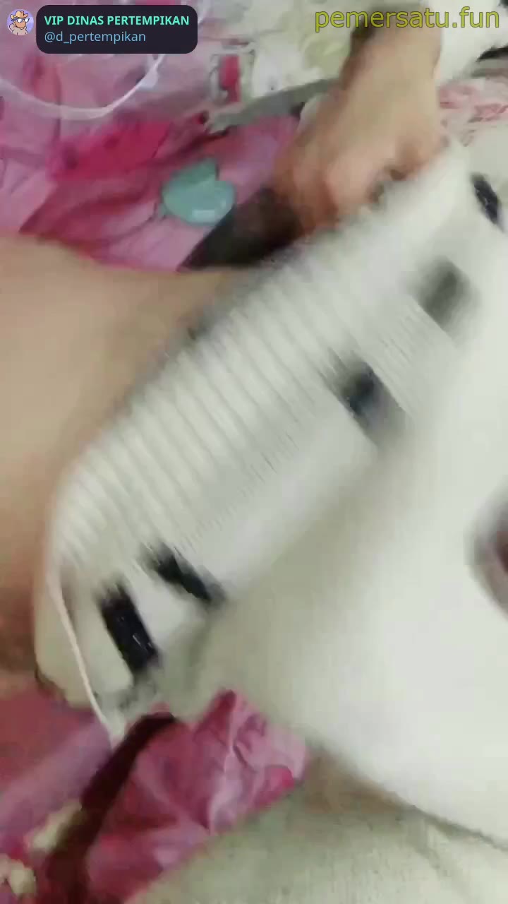 P5 Jilbab Cantik Imut Body Mulus Putih Tocil Kurang Apa Lagi