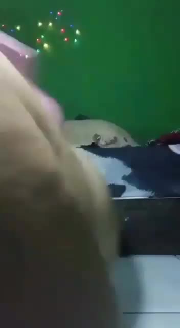 DoodStream Lagi Colmek Ketahuan Anak -