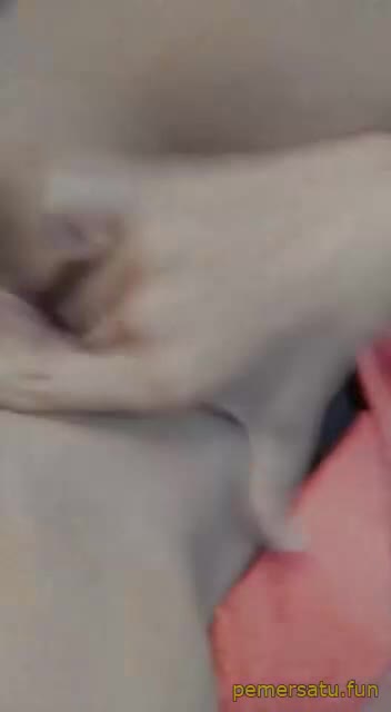 18yo Kompilasi Mila Cosplay Abg