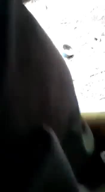 Gubuk Pramuka Crot Di