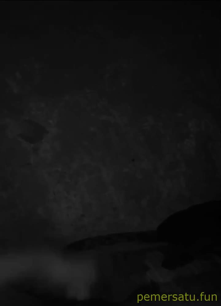 P11 Neni Gamer Binal Abg 18yo Pemersatu Fun