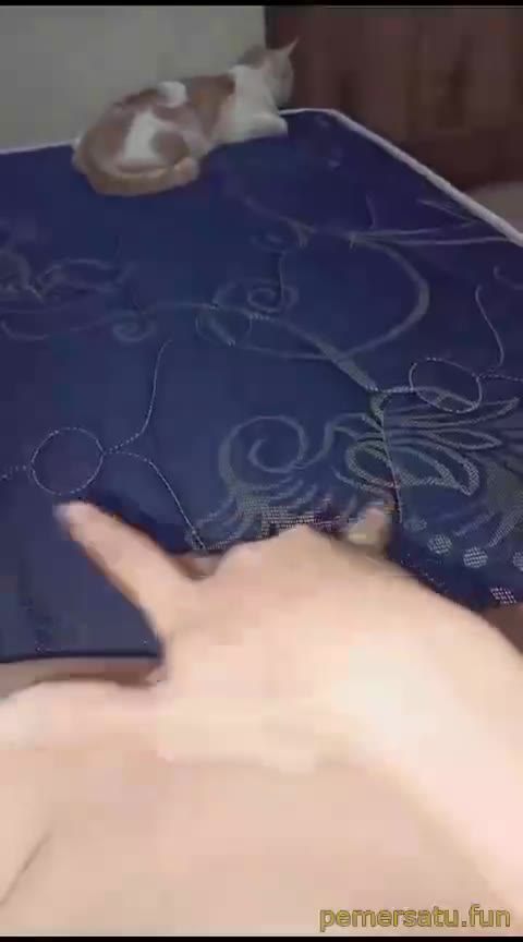 P4 Kirana Abg 18yo Sange Colok Memek