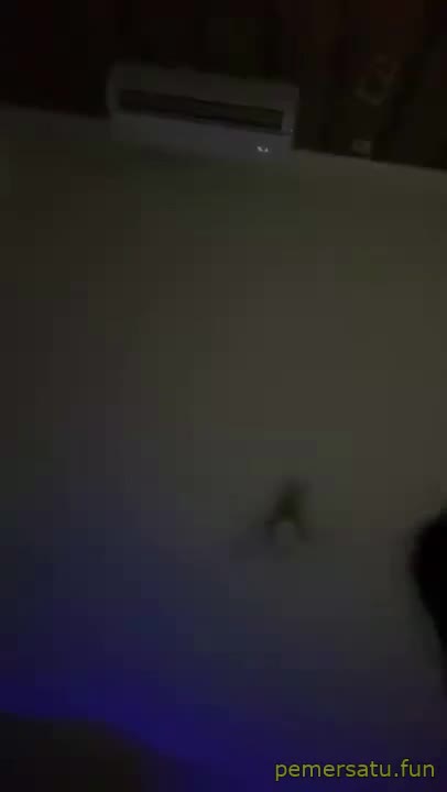 P2 Ngobrol Sama Si Tokbrut Ngentot Sampai Crot