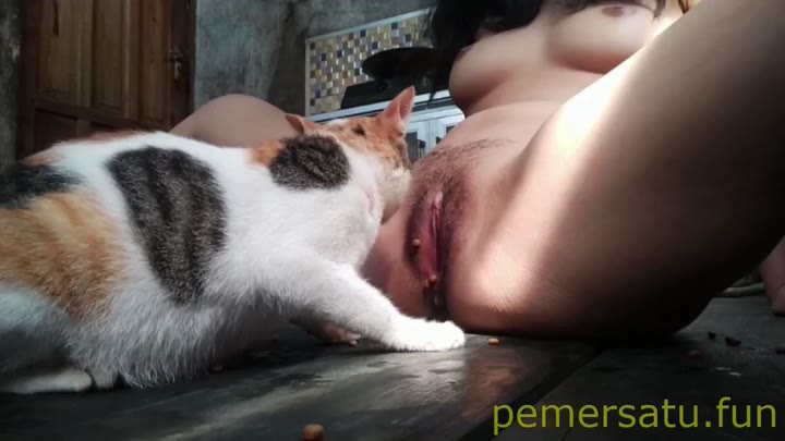 Kesayangan Abg 18yo Memek Dijilmek Kucing