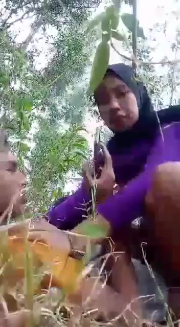 Pacar Ngewe Di Hutan Sama