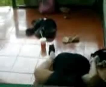 - Jilbab SMU Ketahuan Mesum