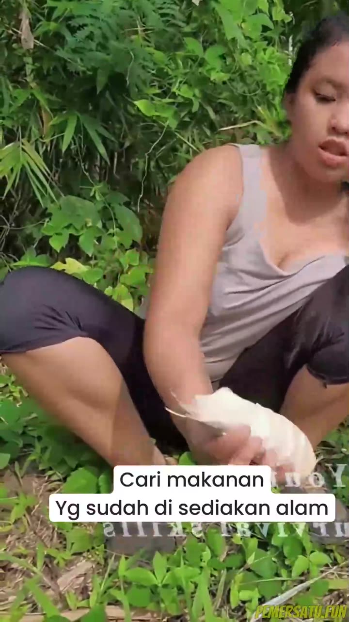 Alam Tokbrut Cari Makanan Di