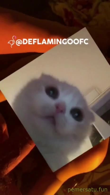 Video Viral Terbaru P31 Talent Carla Manda 18Yo Abg Mulus Mantap 31 PEMERSATUDOTFUN