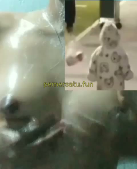 P1 Velinda Abg 18yo Birahi Tinggi