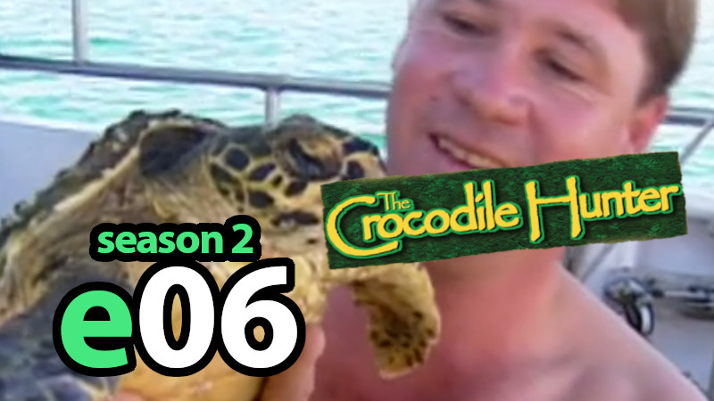 Turtle Hunter R Michaelreeves - City Art Collection - 4K Quality