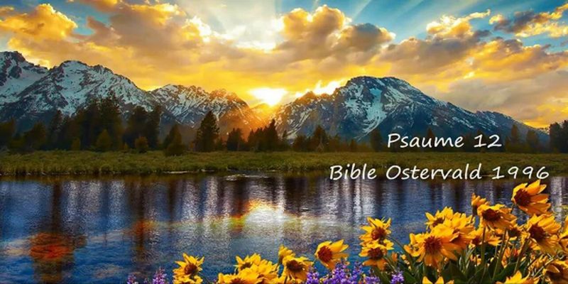 Psaume 12 Pdf - Download Artistic Light Photo | 8K