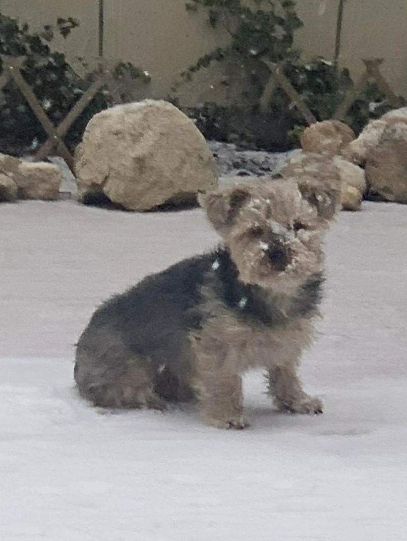 Aym Aym - Download Incredible Vintage Photo | 8K