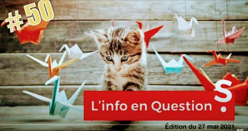 L Info En Questions - Premium Vintage Illustration Gallery - Desktop