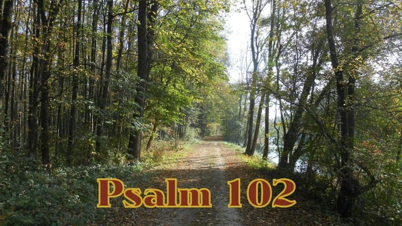 Psalm 102 Youtube - Premium Geometric Design Gallery - Desktop