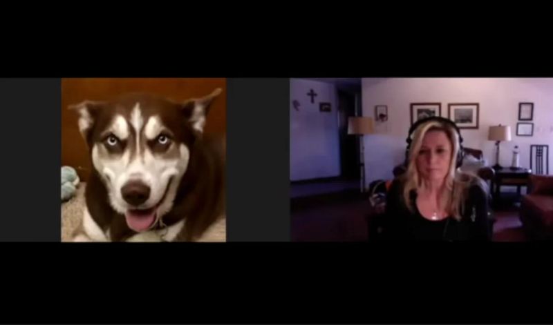 Gene Decode Interview - Elegant 4K Ocean Textures | Free Download