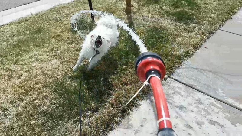 Monkey Magic Hydro Pro Washington - Ocean Design Collection - 4K Quality