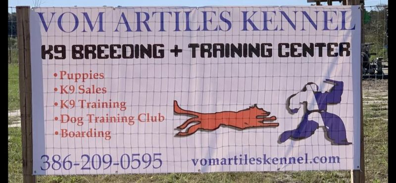 Vak Youtube - Vintage Wallpaper Collection - Mobile Quality