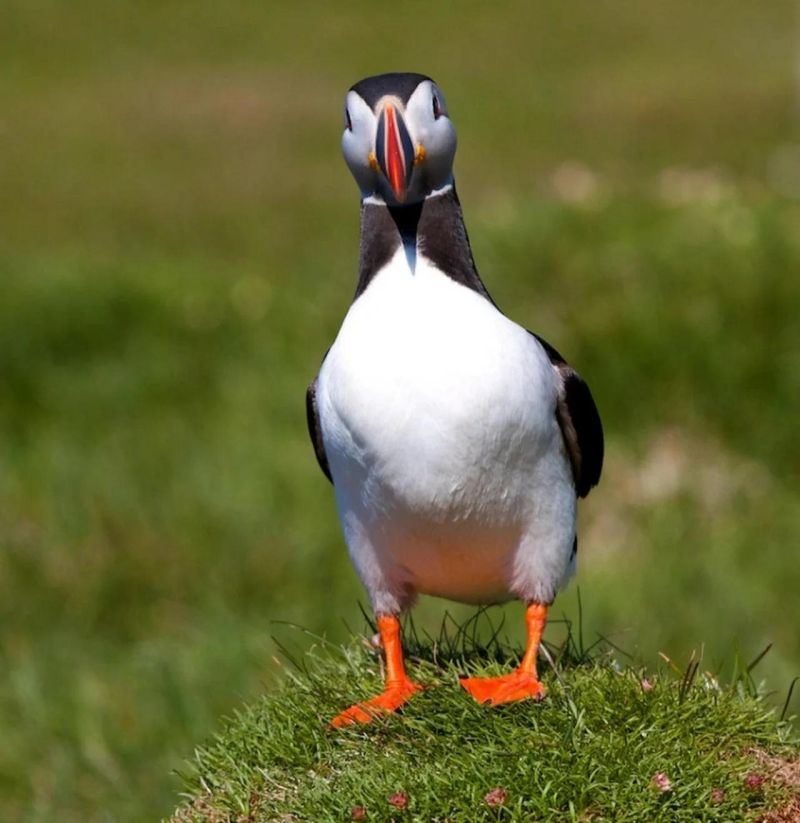 Arctica - Download Ultra HD Colorful Background | Full HD