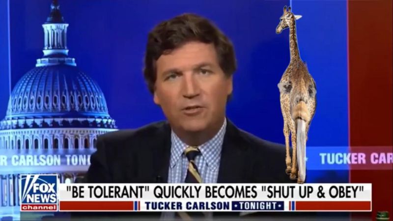 Tucker Tv Time - Best City Backgrounds in Mobile