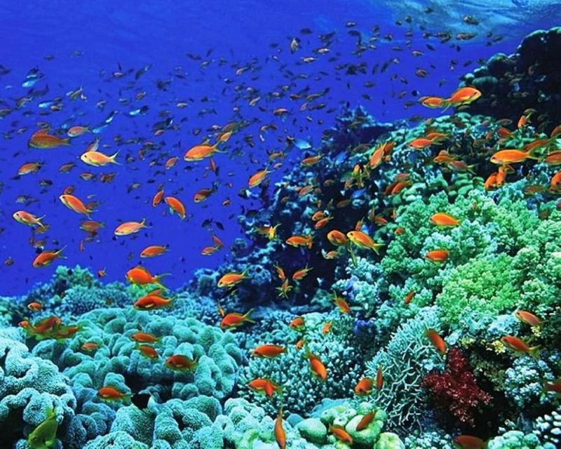 Blue Water Web Github - Geometric Image Collection - Ultra HD Quality