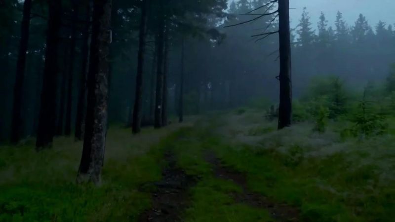 Lustre Dreaded Still Doomer Version - Dark Images - Stunning Desktop Collection