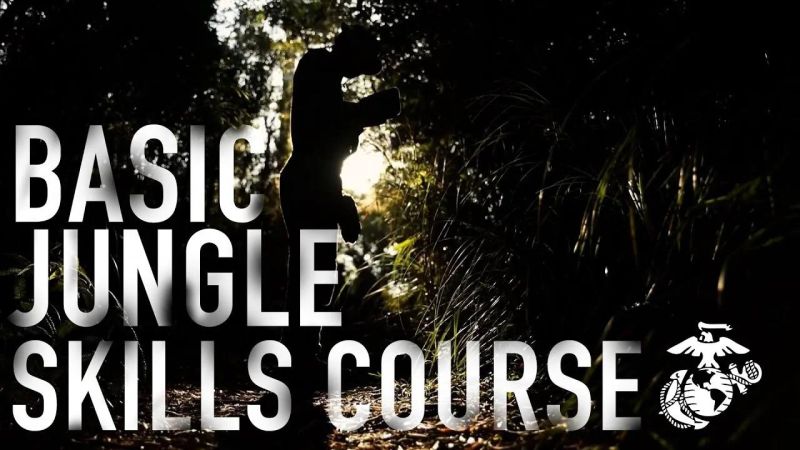 Jungle Courses - Geometric Images - Stunning Desktop Collection