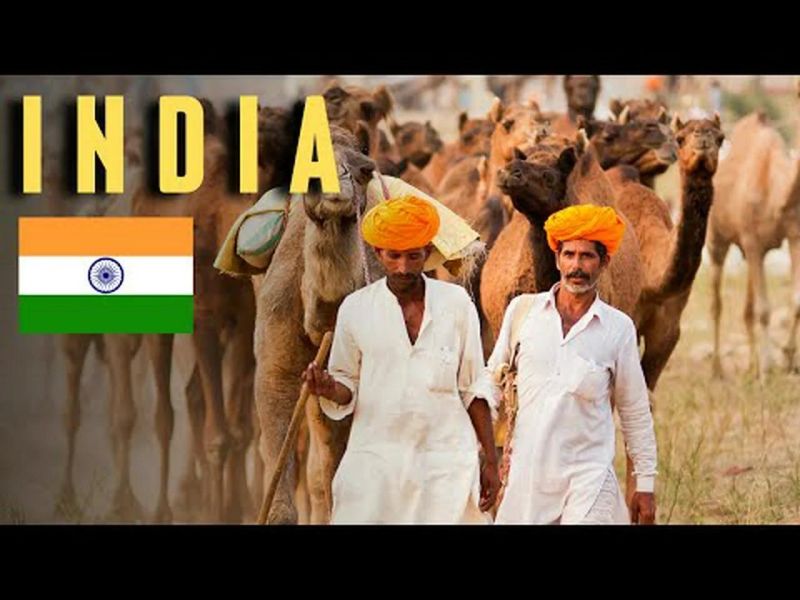 India Country Profile Detailed Avanigo - HD Minimal Textures for Desktop