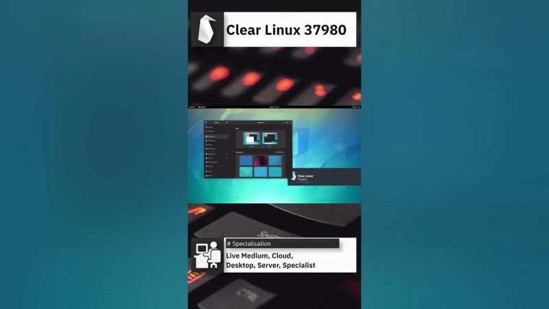 Void Linux 20240314 Quick Overview Shorts - Best Colorful Arts in Retina