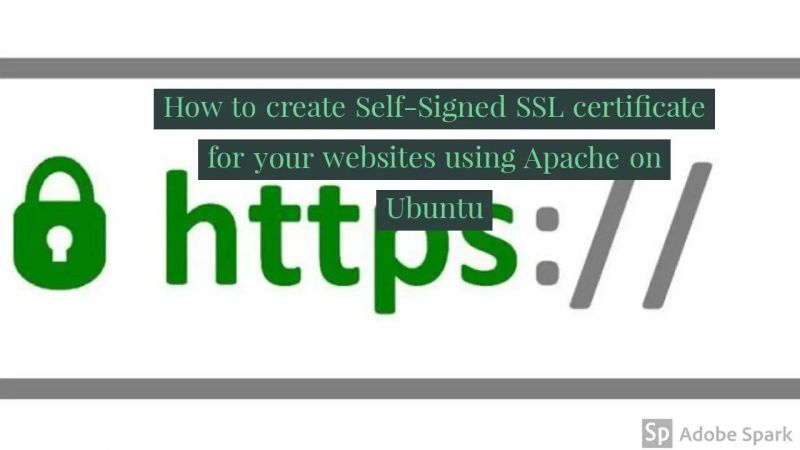 How To Configure Self Signed Ssl Certificate In Mulesoft Https Apis - 4K Ocean Pictures for Desktop