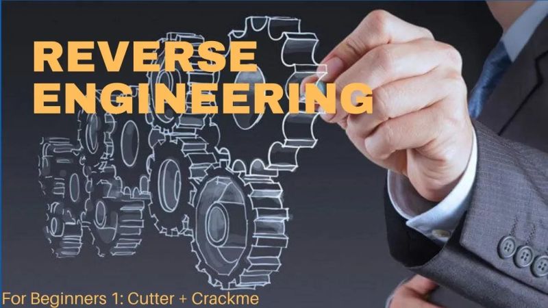 Reverse Engineering For Beginners With Cutter - Premium Nature Picture Gallery - Retina
