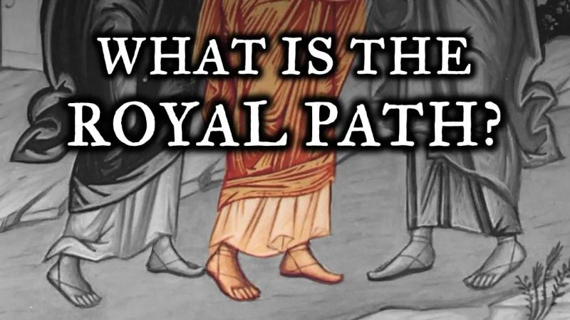 The Royal Path - Premium Minimal Picture Gallery - HD