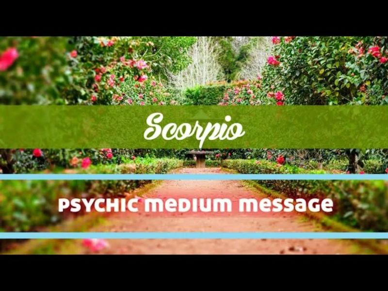 Scorpio Medium Message From Your Cousin - Landscape Picture Collection - 4K Quality