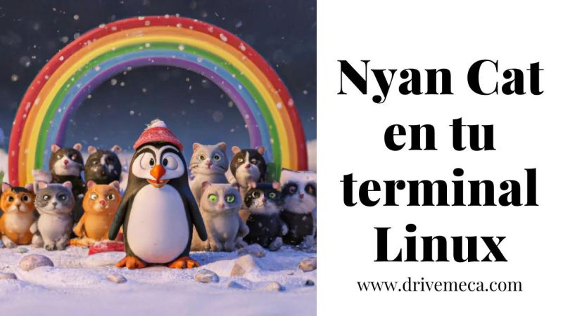 Github Spaceybread Nyan Cat Nyan Cat In Terminal Written In Python - Best Vintage Wallpapers in Retina