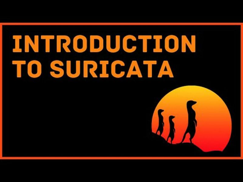 Suricata Pdf - Best Minimal Textures in HD