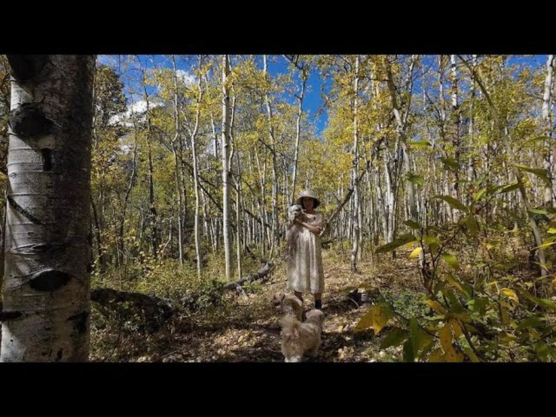 Climate Warrior Polytoria - Premium Light Texture Gallery - Full HD