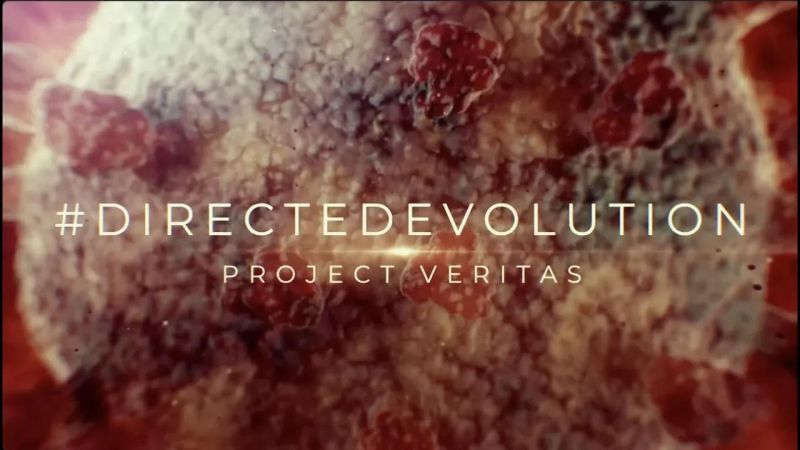 Directedevolution Takes The World By Storm - Best Minimal Backgrounds in 4K