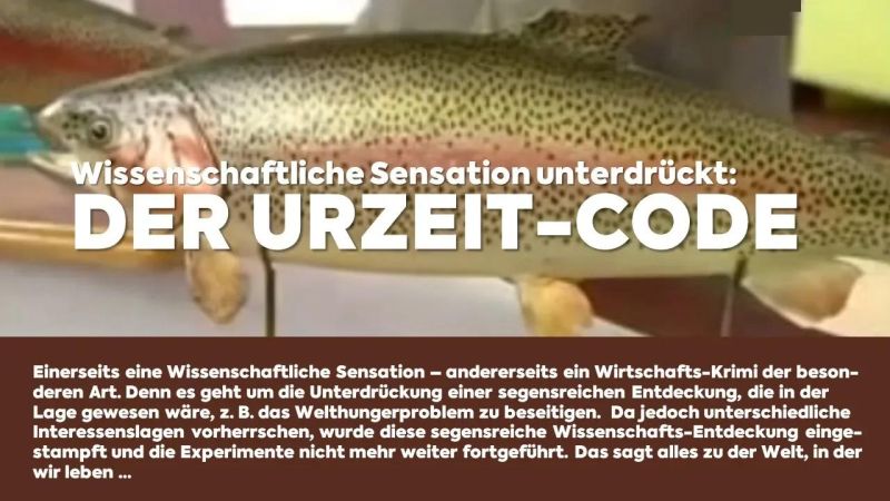 The Primeval Code Der Urzeit Code Ongoing Project Alain S Projects - Landscape Design Collection - Full HD Quality