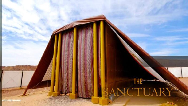 Services 2 Sanctuary - Best Ocean Textures in 4K