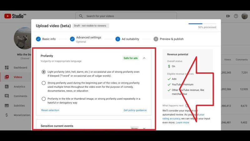 Youtube Self Certification Program For Monetizing Creators Youtube - Best Space Designs in Desktop