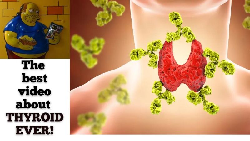 Thyroid Panel Medbitbd Com - Best Minimal Images in High Resolution