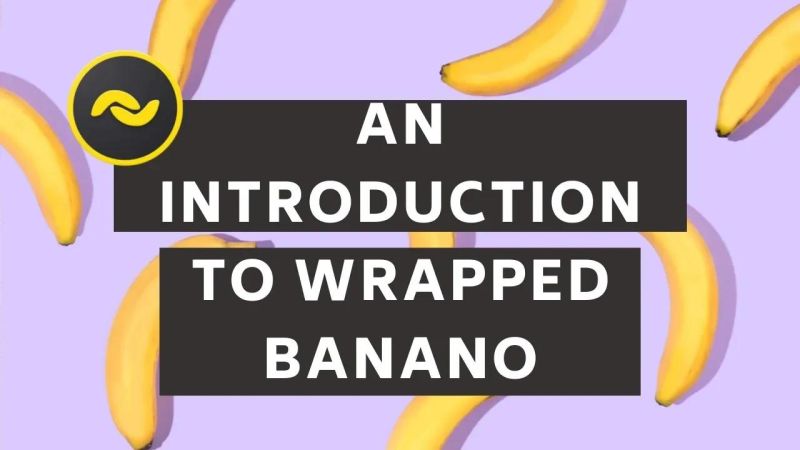 Wrapped Monkey Banano Wiki Fandom - Premium Mountain Art Gallery - HD