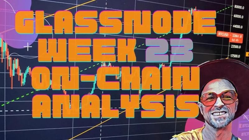A Guide To Using Glassnode For On Chain Analysis - Gradient Picture Collection - Retina Quality
