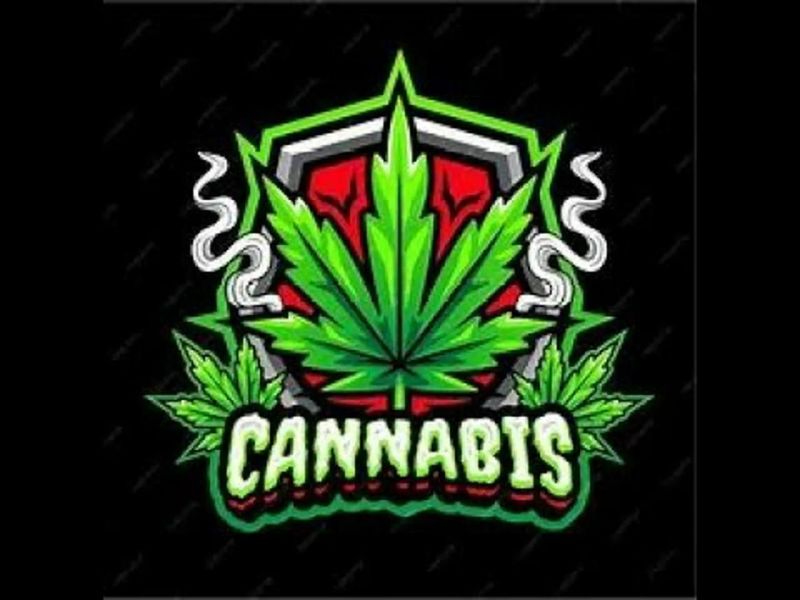 Citizen Z 2004 Mubi - Colorful Art Collection - Mobile Quality